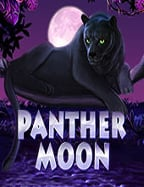 วิธีเล่น pragmatic play slot สมัคร อย่างไรให้ได้กำไร